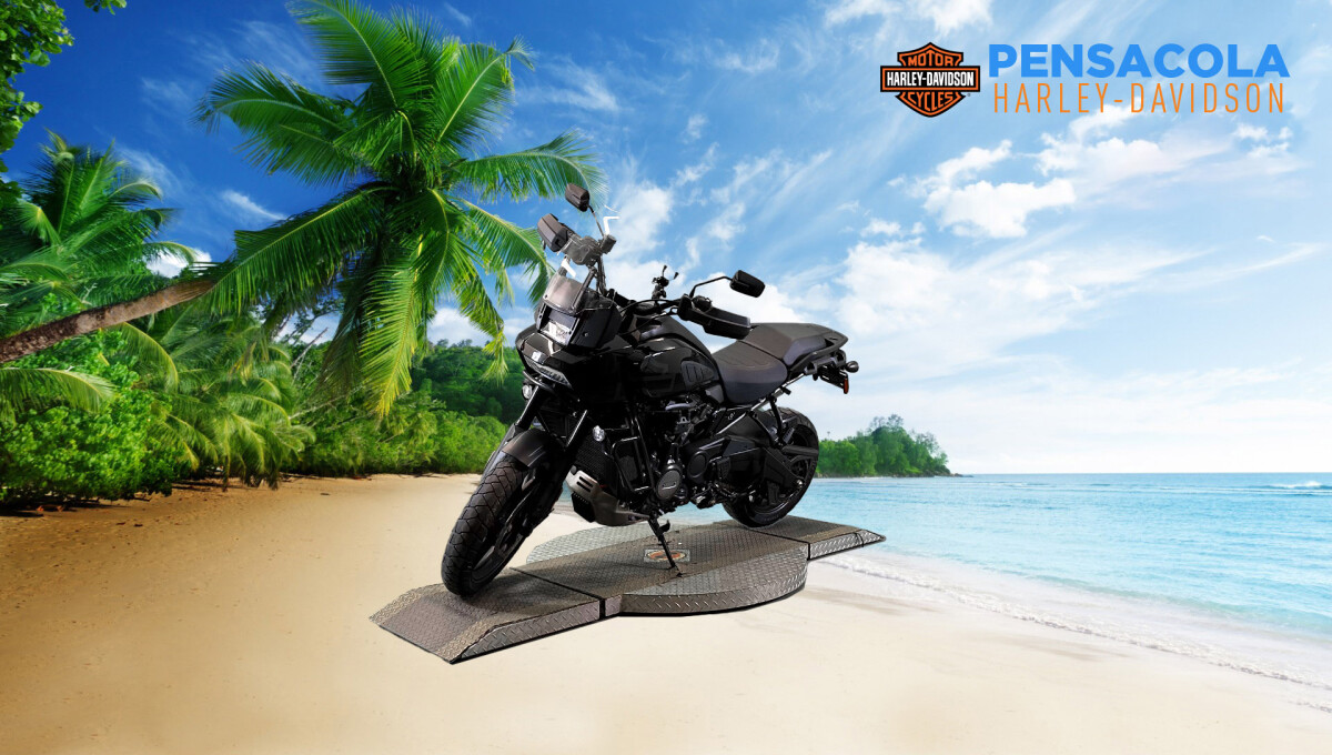 2022 Harley-Davidson Pan America 1250 Special Vivid Black - Photo 4