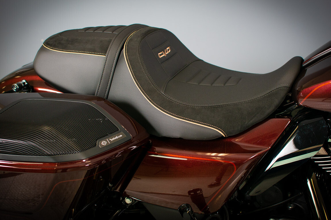 2024 Harley-Davidson CVO Street Glide FLHXSE - Photo 9