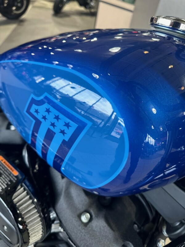 FXBBS 2024 Street Bob 114 - Photo 9