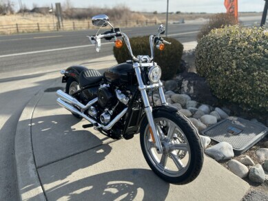 2023 Harley-Davidson Softail Standard Vivid Black - Photo 3