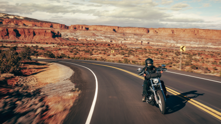 The Classic Appeal of the 2024 Harley-Davidson® Softail® Standard in Tampa, FL