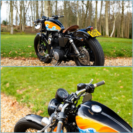 Customized Sportster: 2003 Harley-Davidson Unique Ride
