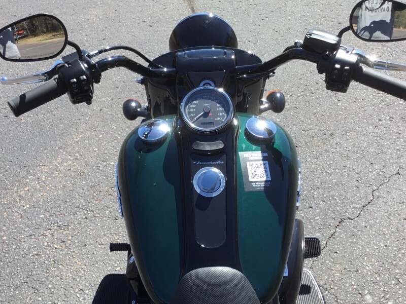 2024 Harley-Davidson Freewheeler Alpine Green / Vivid Black - Photo 5