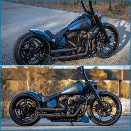 The Harley-Davidson Fat Back: A rare breed, a hefty price.
