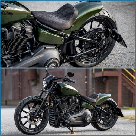 Harley-Davidson's Rapid Raptor conceals a Street Bob beneath its stunning custom modifications.