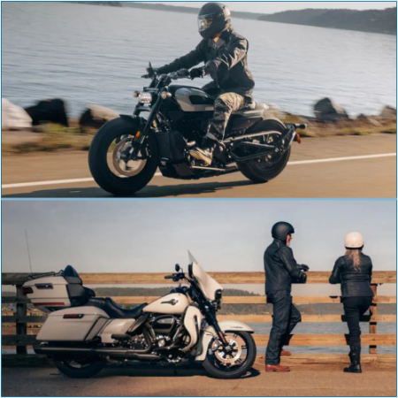 What is the total count of Harley-Davidson models and categories available?
