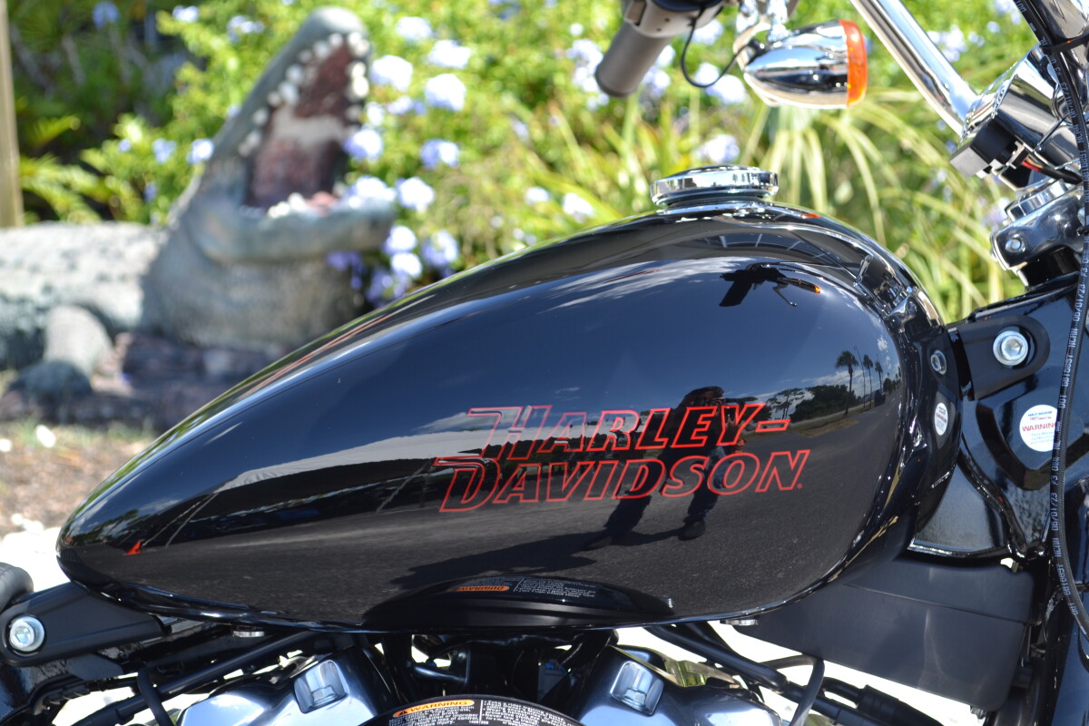 2024 Harley-Davidson Softail Standard - FXST - Photo 3
