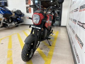 2022 Honda Navi Patriot Red thumb 2