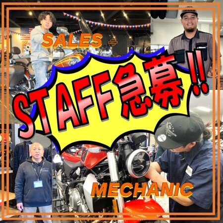 【STAFF急募📣】