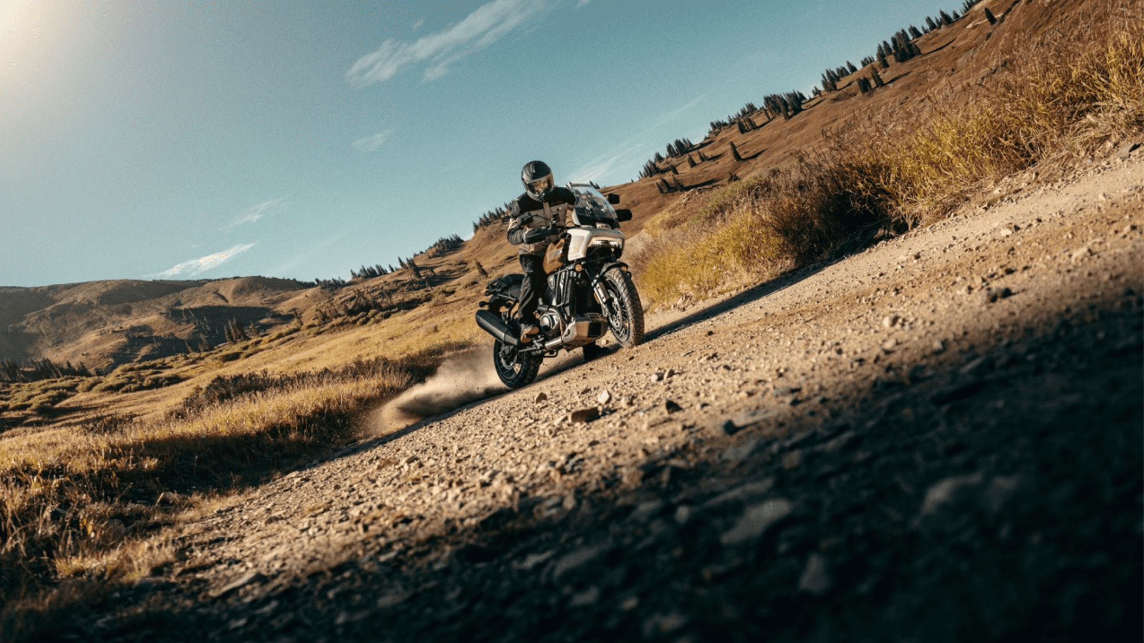 2024 Harley-Davidson® Pan America® 1250 Special