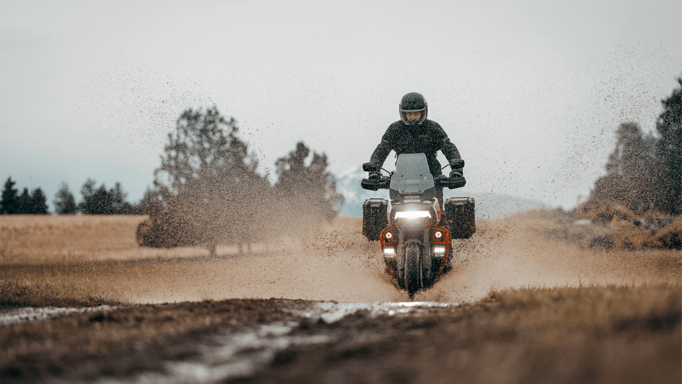 2024 Harley-Davidson® CVO™ Pan America®