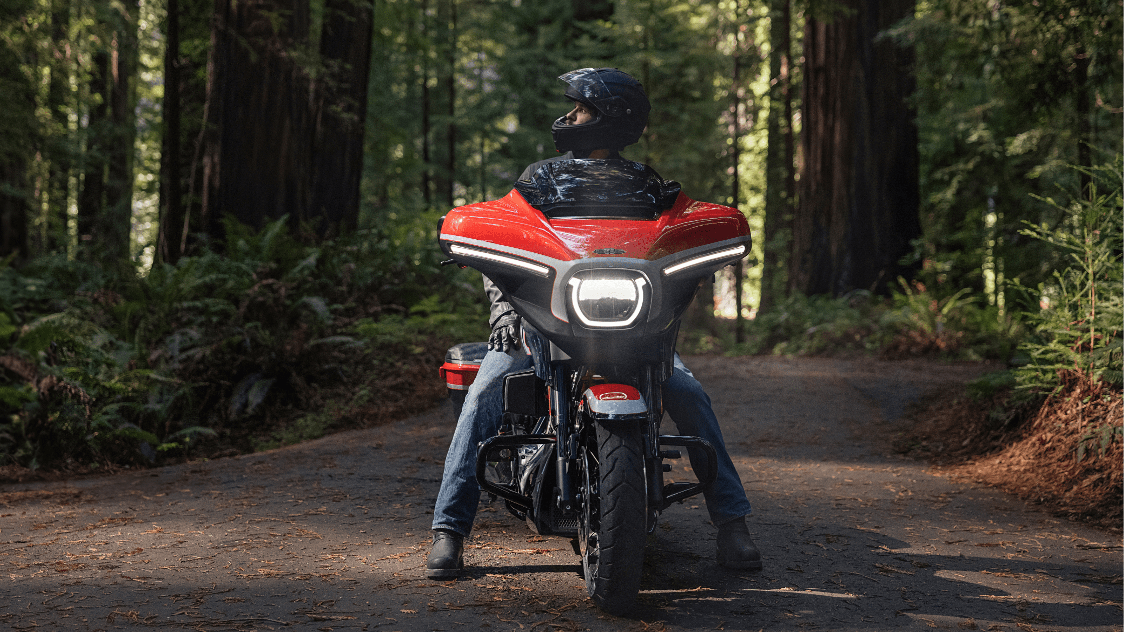 Rider on a Harley-Davidson CVO™ Street Glide® motorcycle in a forest.