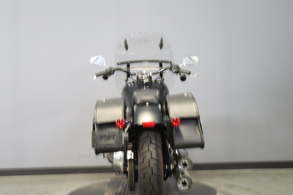 2020 Harley-Davidson Softail Slim FLSL - Photo 7