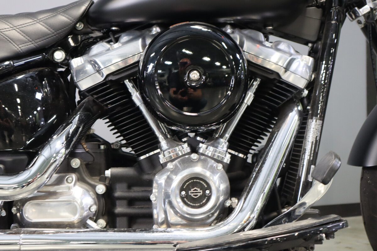 2020 Harley-Davidson Softail Slim FLSL - Photo 10