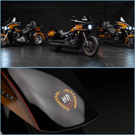 A Glimpse into a Harley-Davidson Enthusiast's Motorcycle Collection