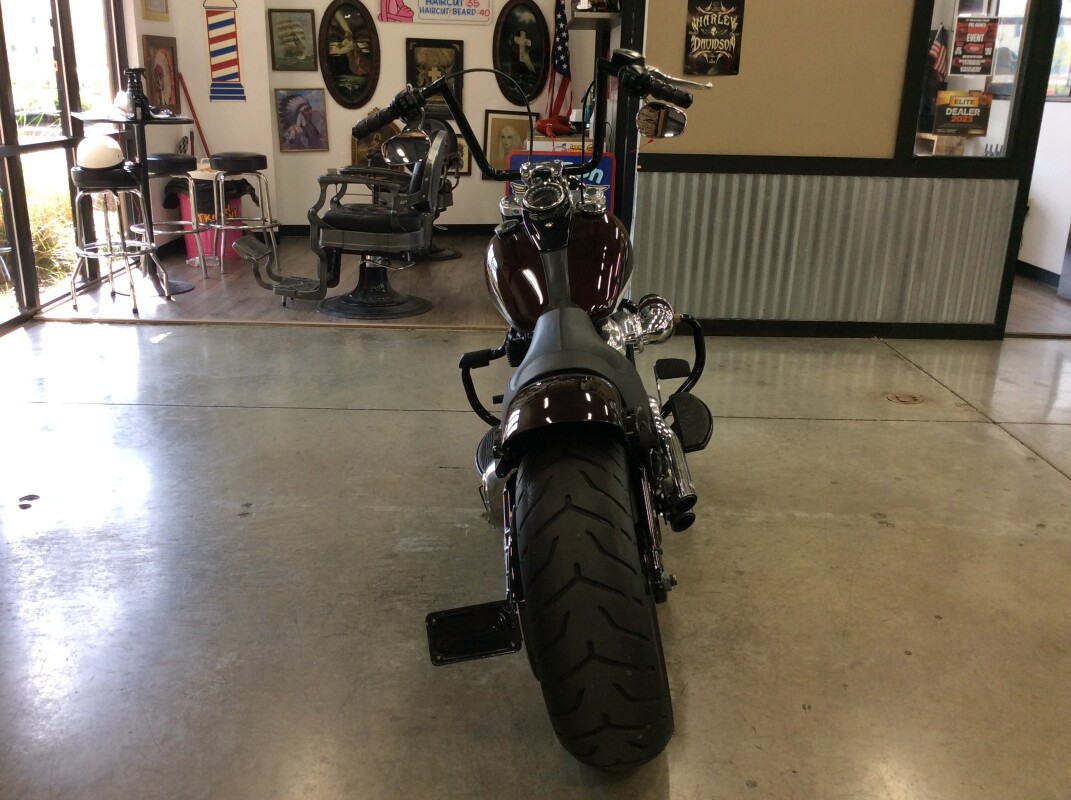 2021 Harley-Davidson Softail Slim FLSL - Photo 6