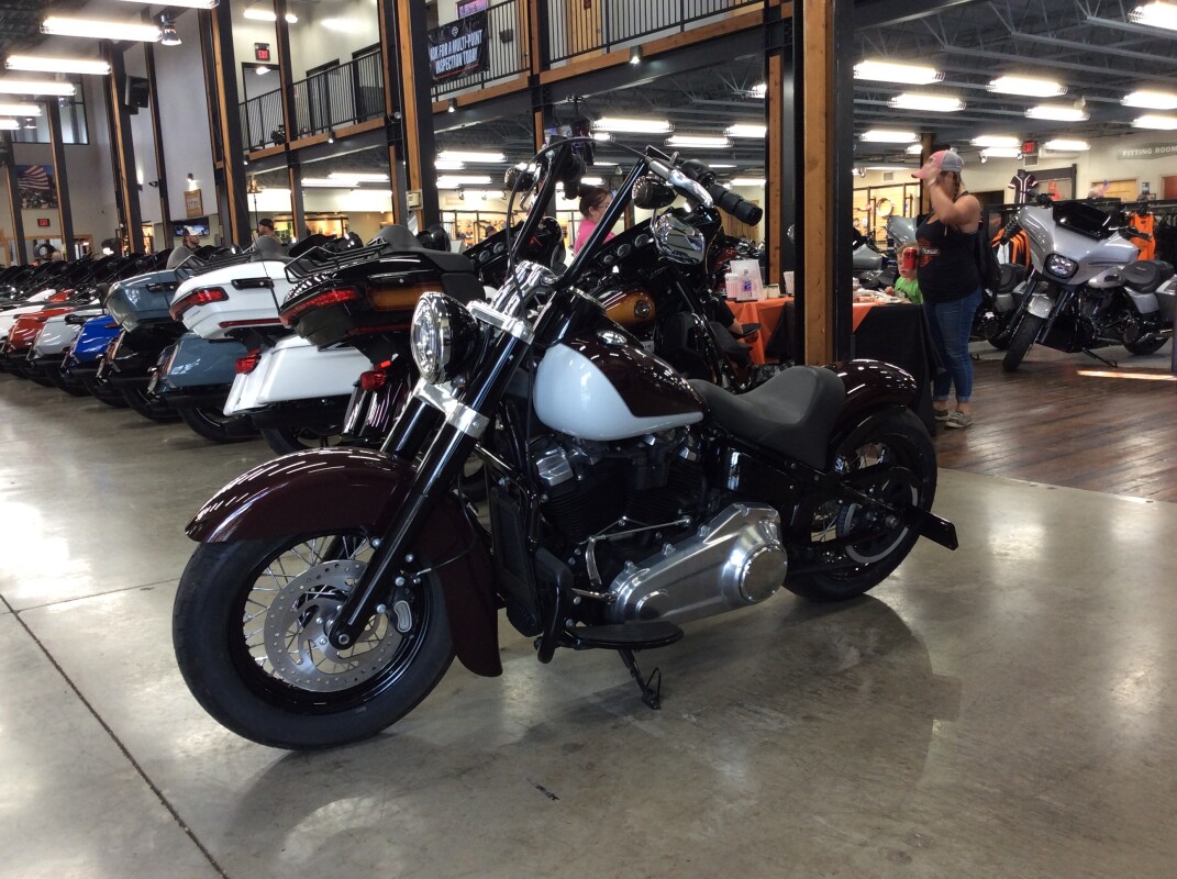 2021 Harley-Davidson Softail Slim FLSL - Photo 4
