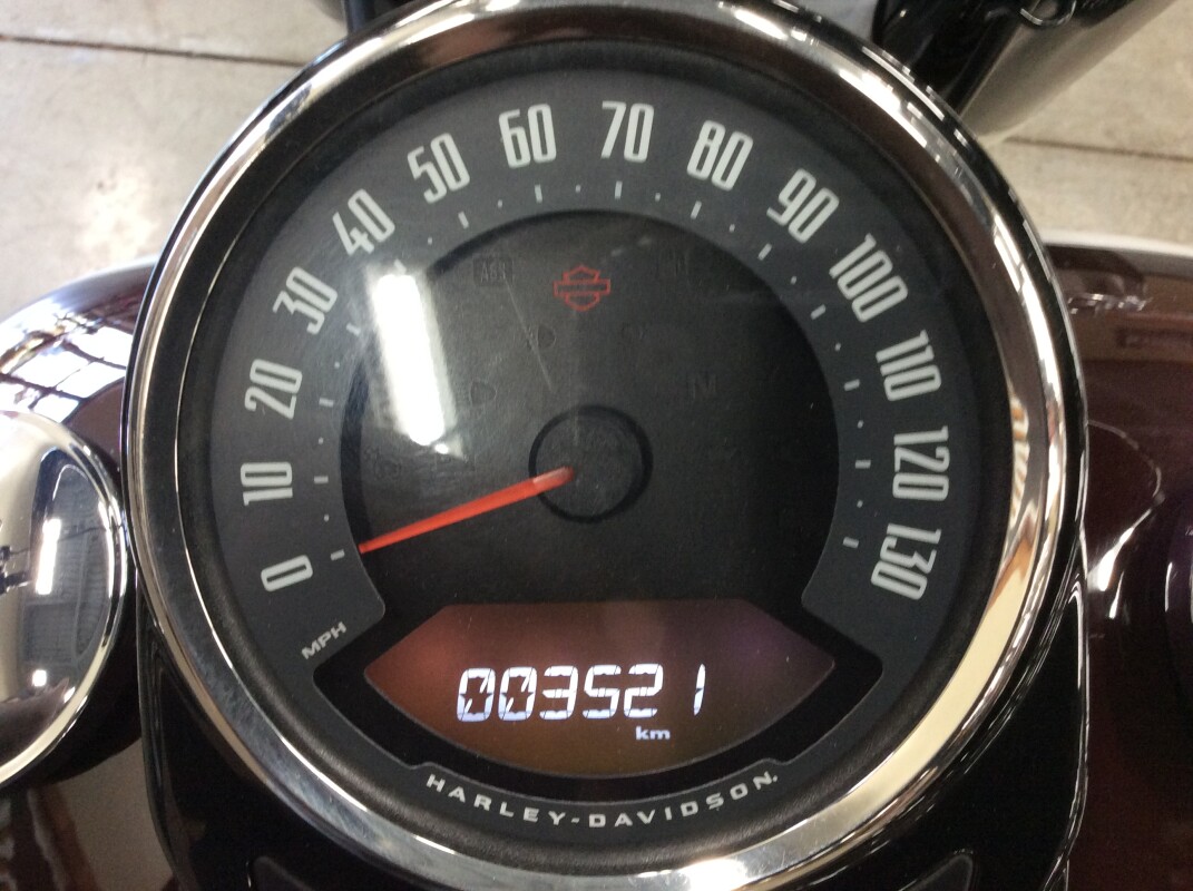 2021 Harley-Davidson Softail Slim FLSL - Photo 8