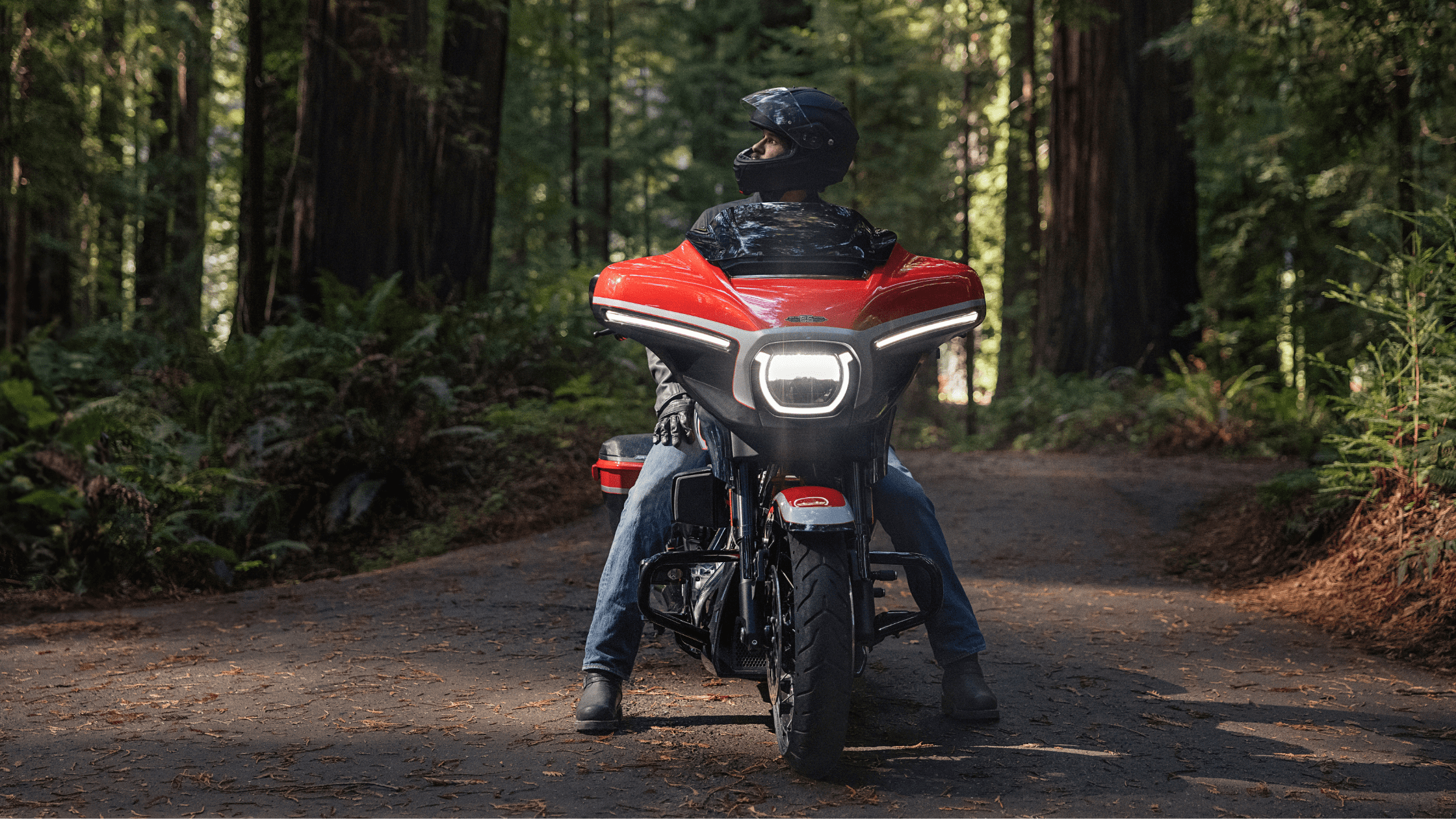 Rider on a 2024 CVO™ Street Glide® motorcycle in a forested area