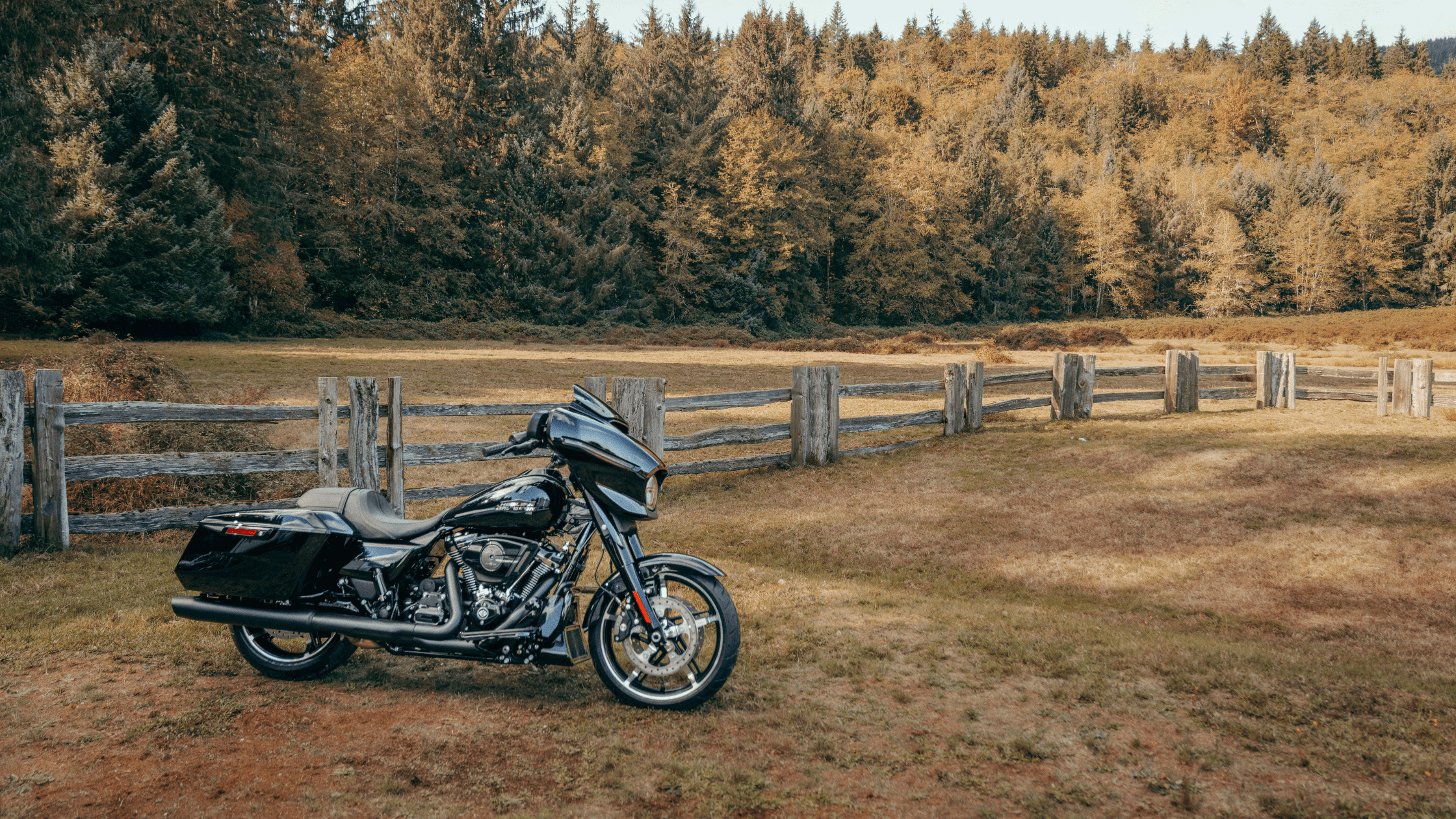 2024 Harley-Davidson® Street Glide®