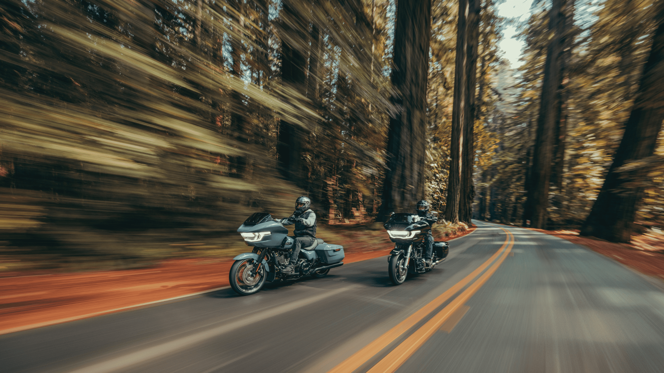 Two riders on 2024 Road Glide® motorcycles cruising through a forest