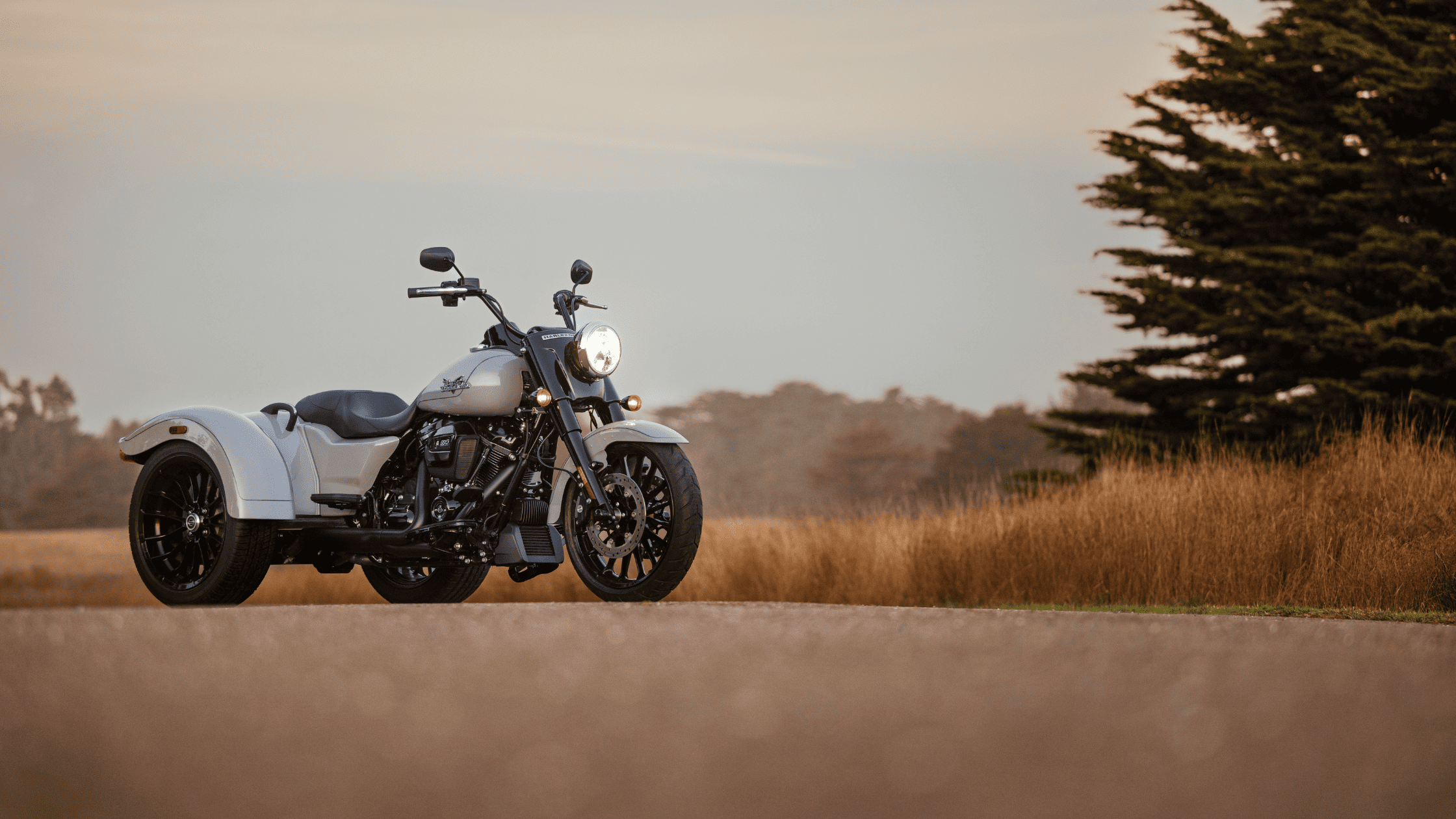 2024 Harley-Davidson® Freewheeler®