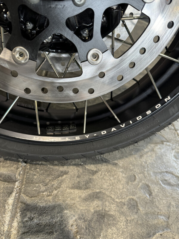 2024 Harley-Davidson Pan America 1250 Special - Photo 7