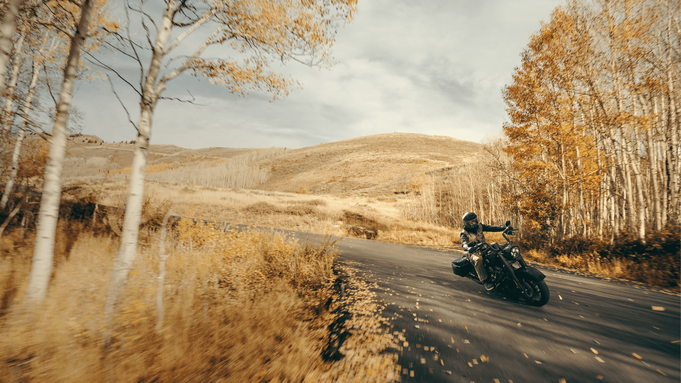 3 Upgrades for the 2024 Harley-Davidson® Road King® Special