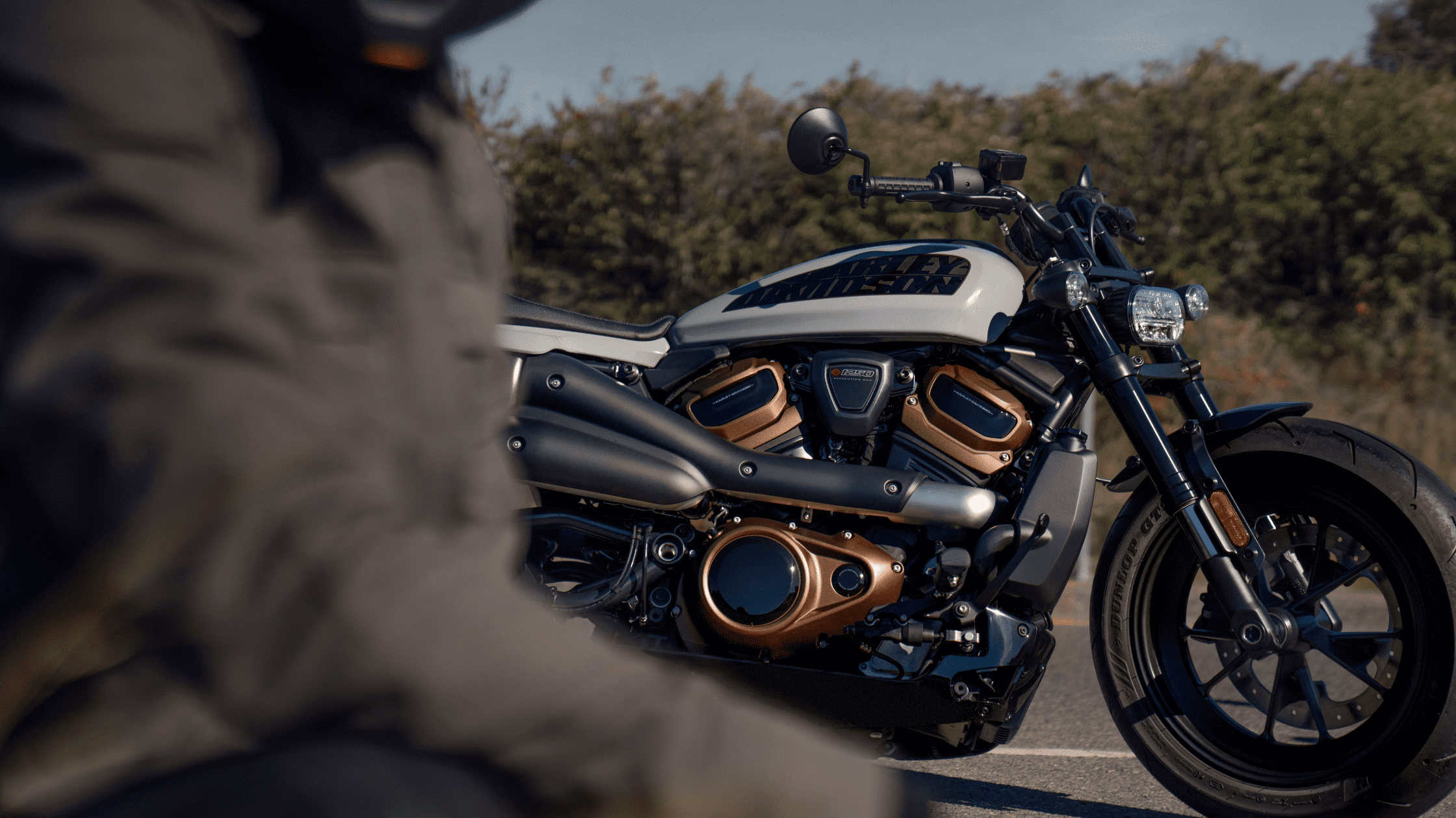 2024 Harley-Davidson® Sportster® S