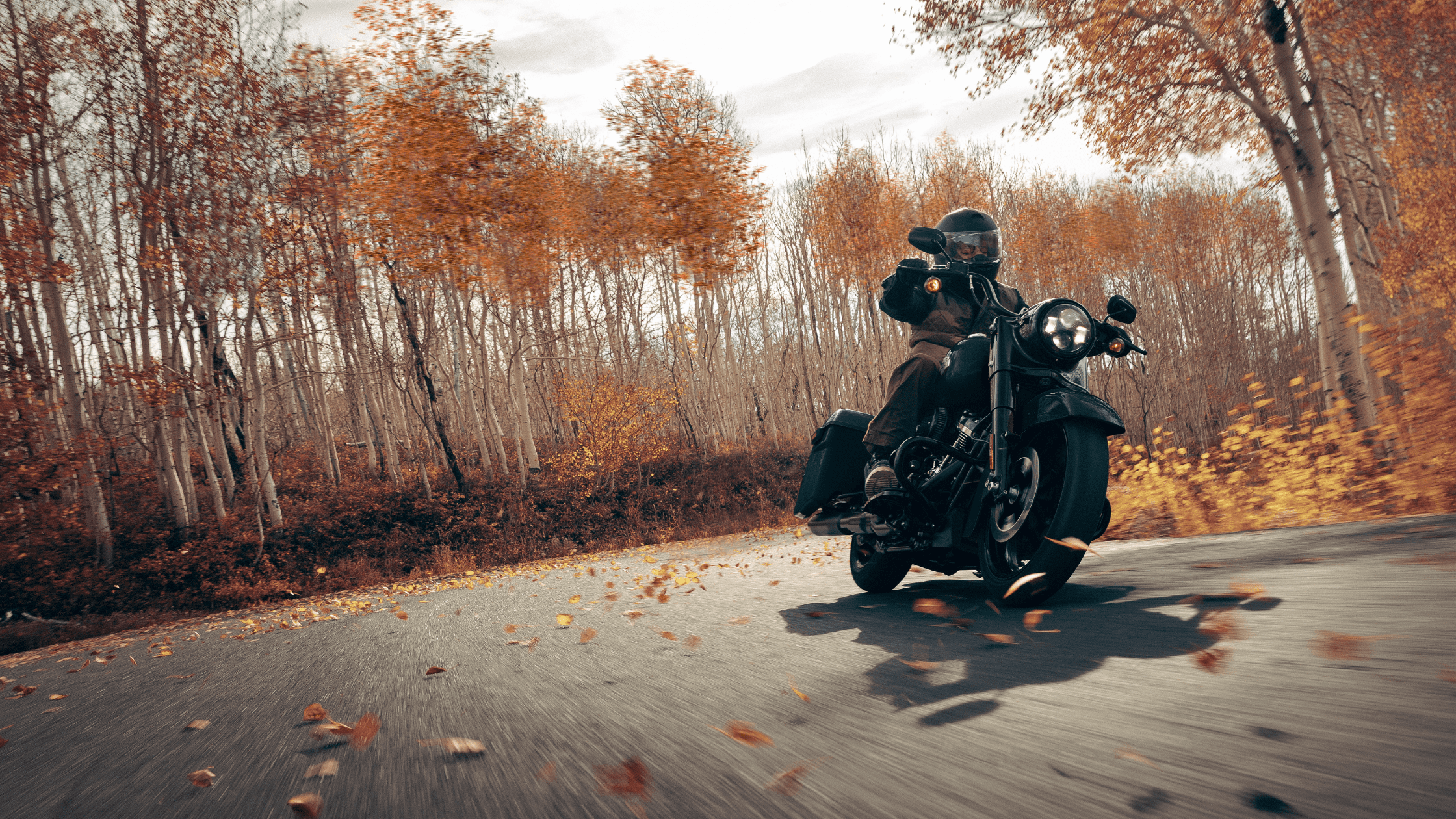 2024 Harley-Davidson® Road King® Special