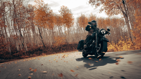 Maintaining Your 2024 Harley-Davidson® Road King® Special: Tips for Pace, FL Riders