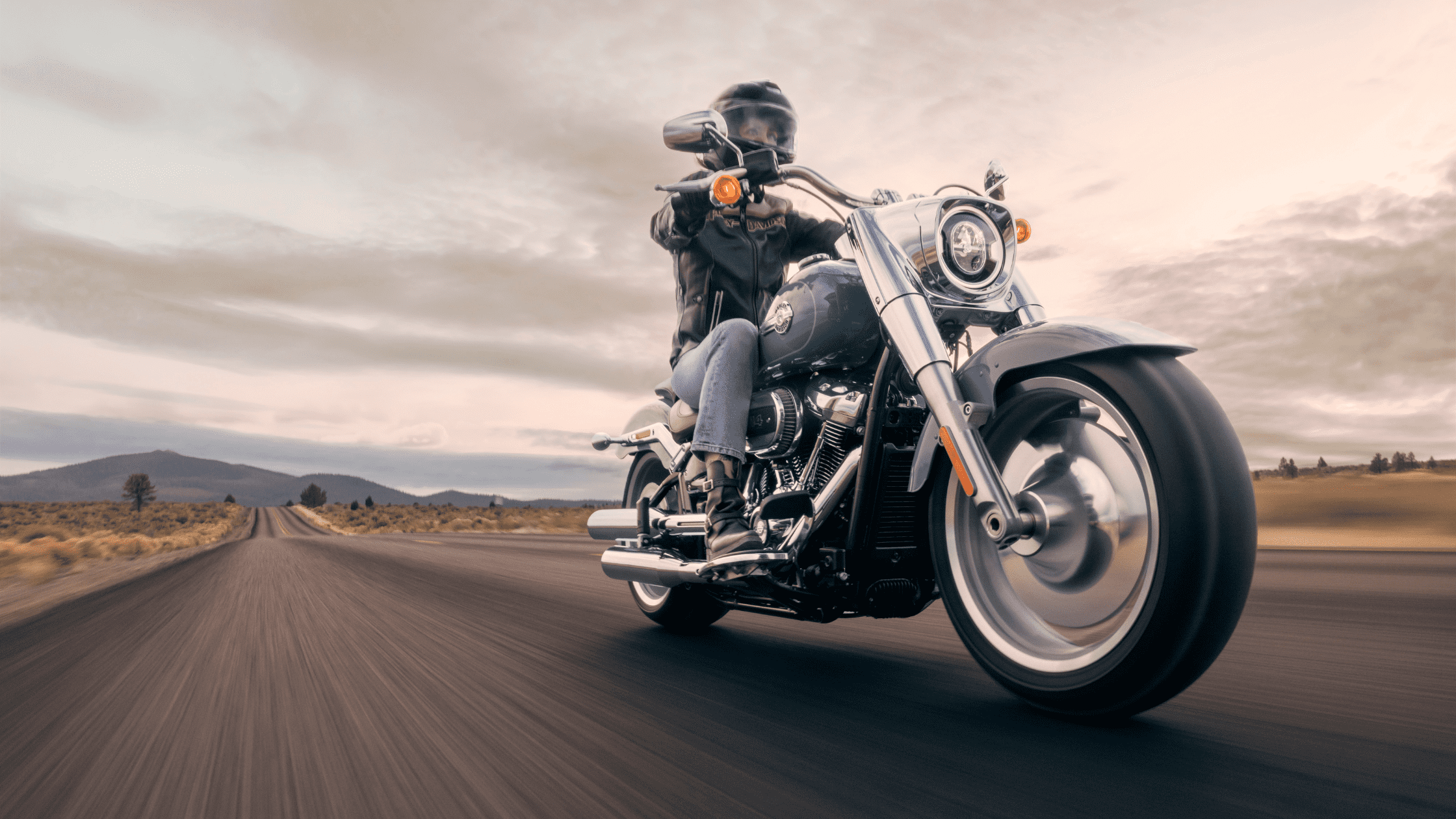 2024 Harley-Davidson® Fat Boy® 114