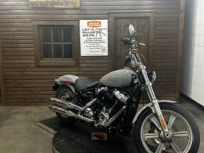 2022 Harley-Davidson Softail Standard thumb 0