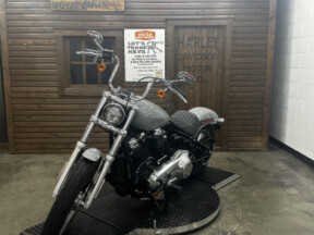2022 Harley-Davidson Softail Standard thumb 2