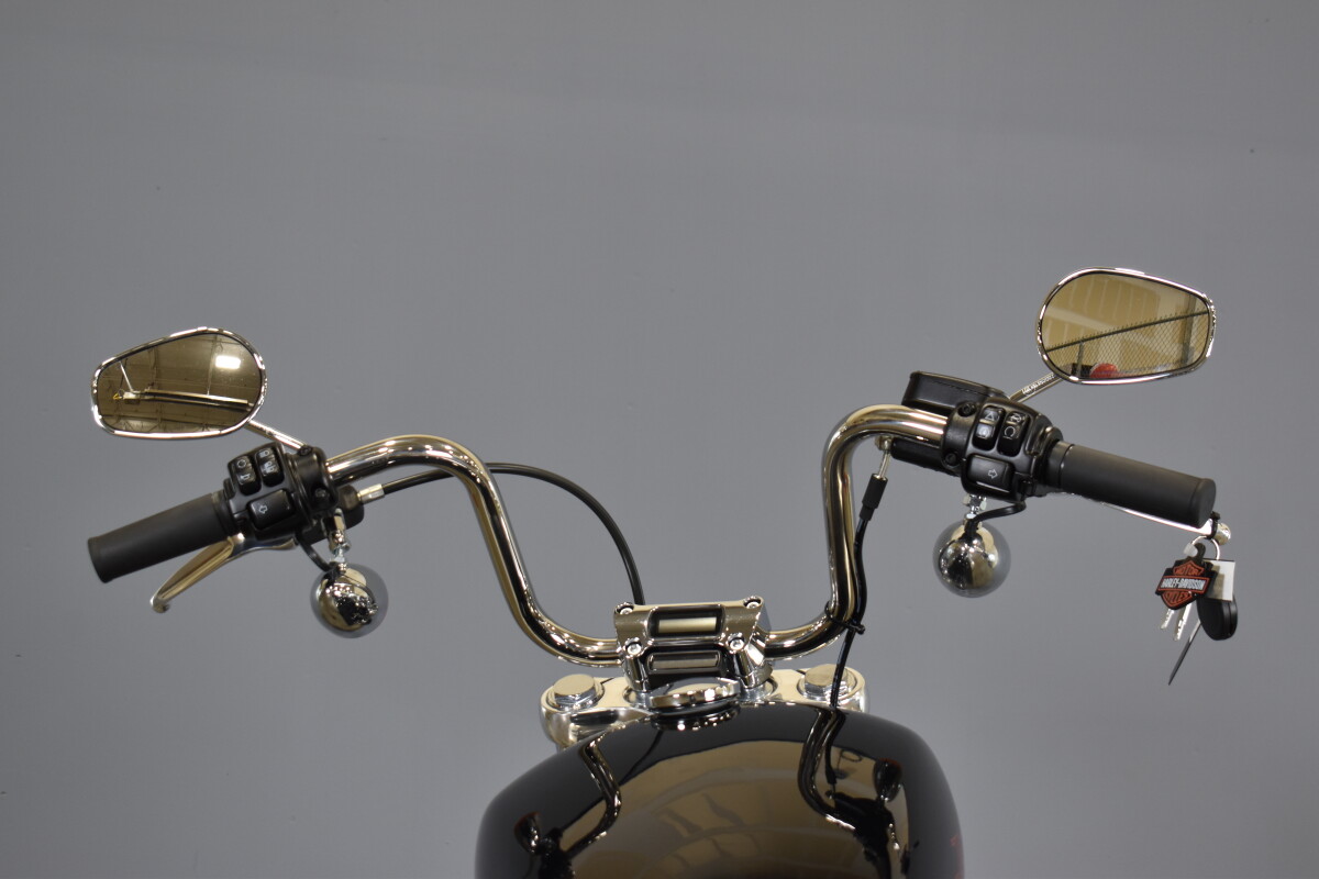 2024 Harley-Davidson Softail Standard FXST - Photo 8