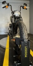 2021 Harley-Davidson Street Bob 114  FXBBS  DEADWOOD GREEN thumb 0