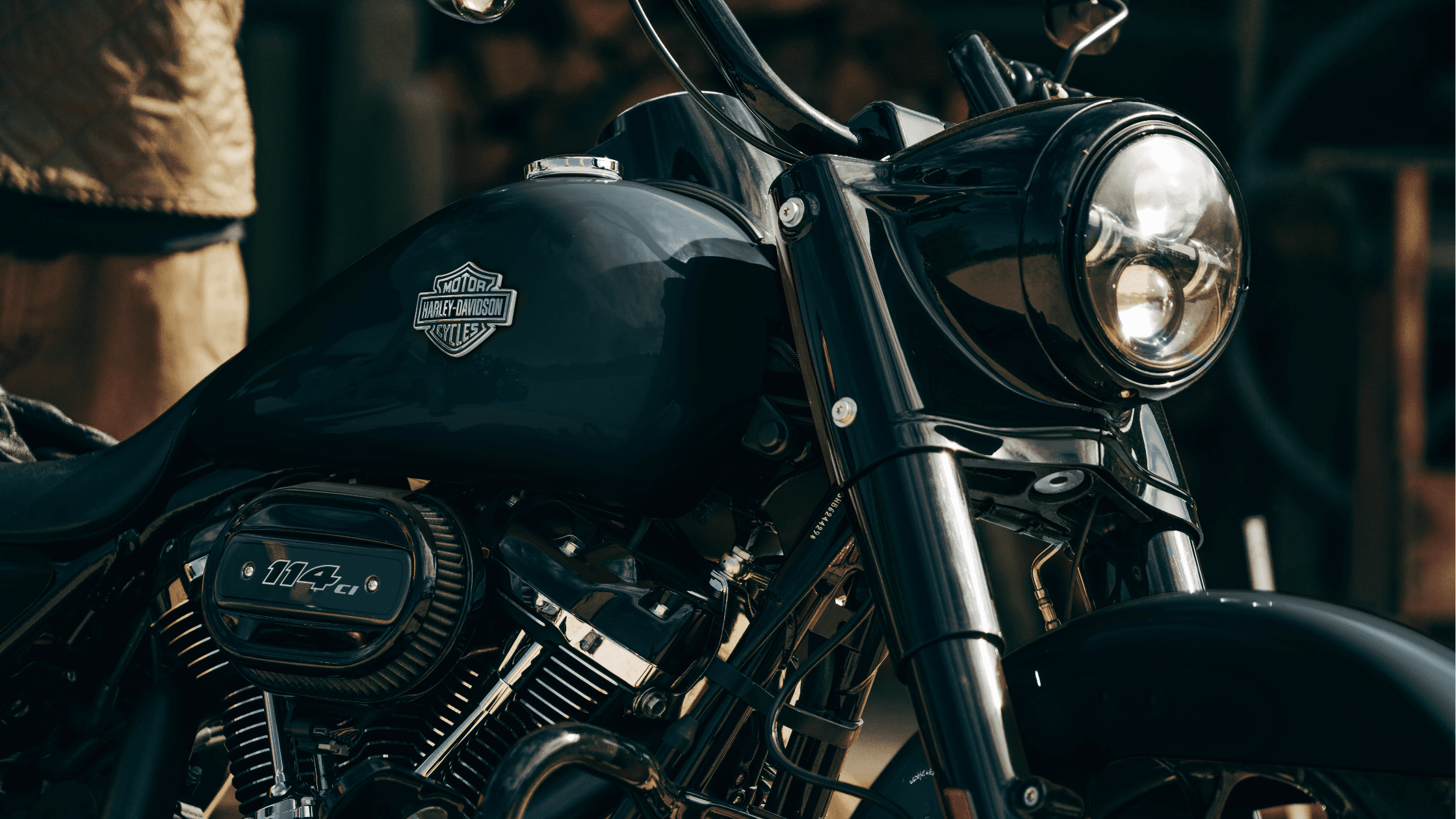 Close-up of Harley-Davidson Road King® Special motorcycle