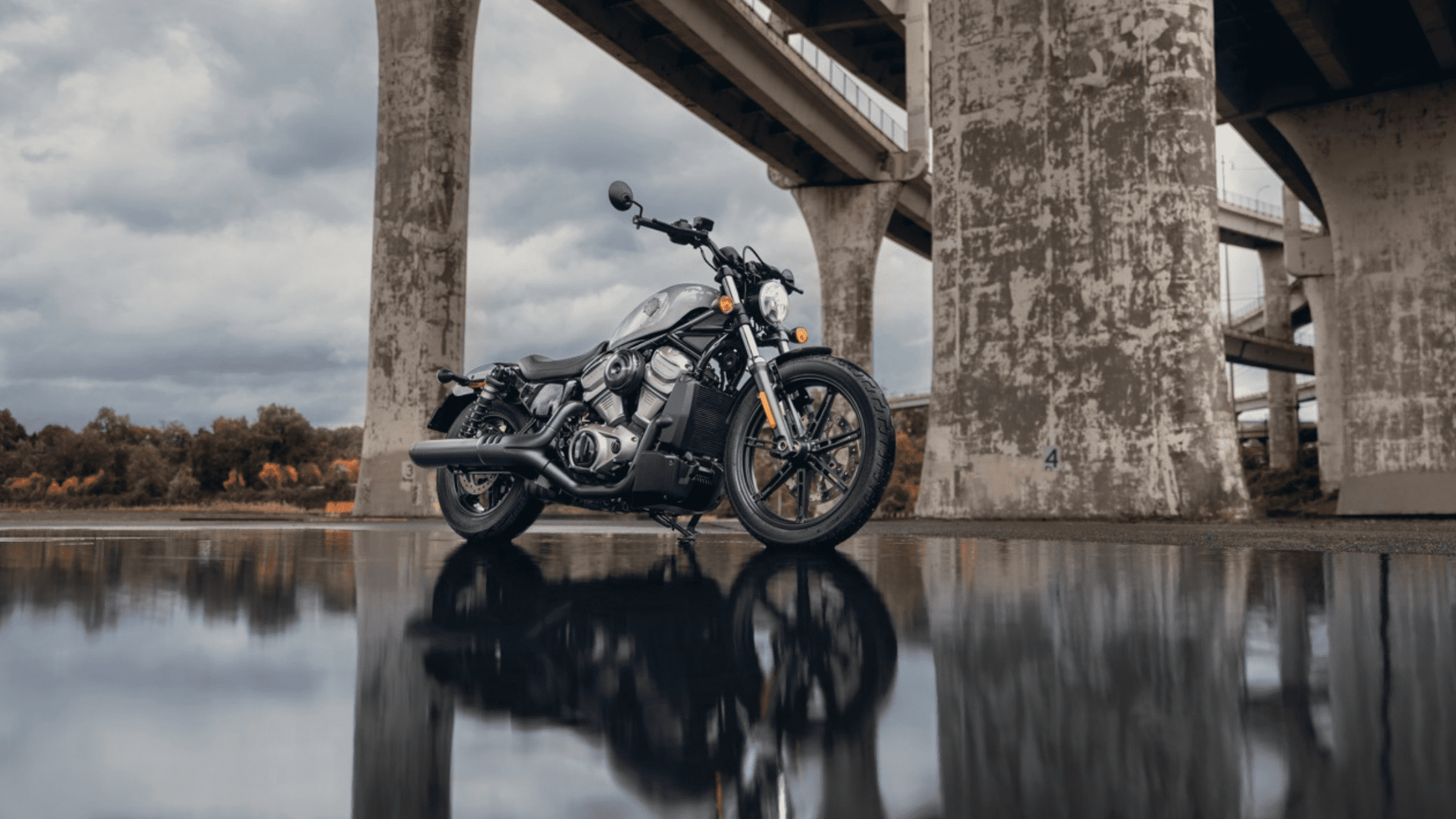 2024 Harley-Davidson® Nightster®