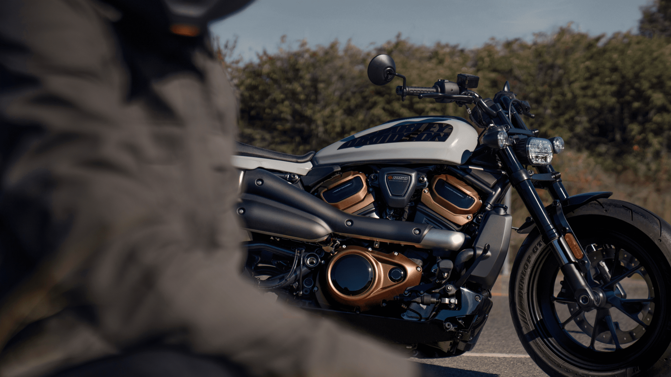 2024 Harley-Davidson® Sportster® S