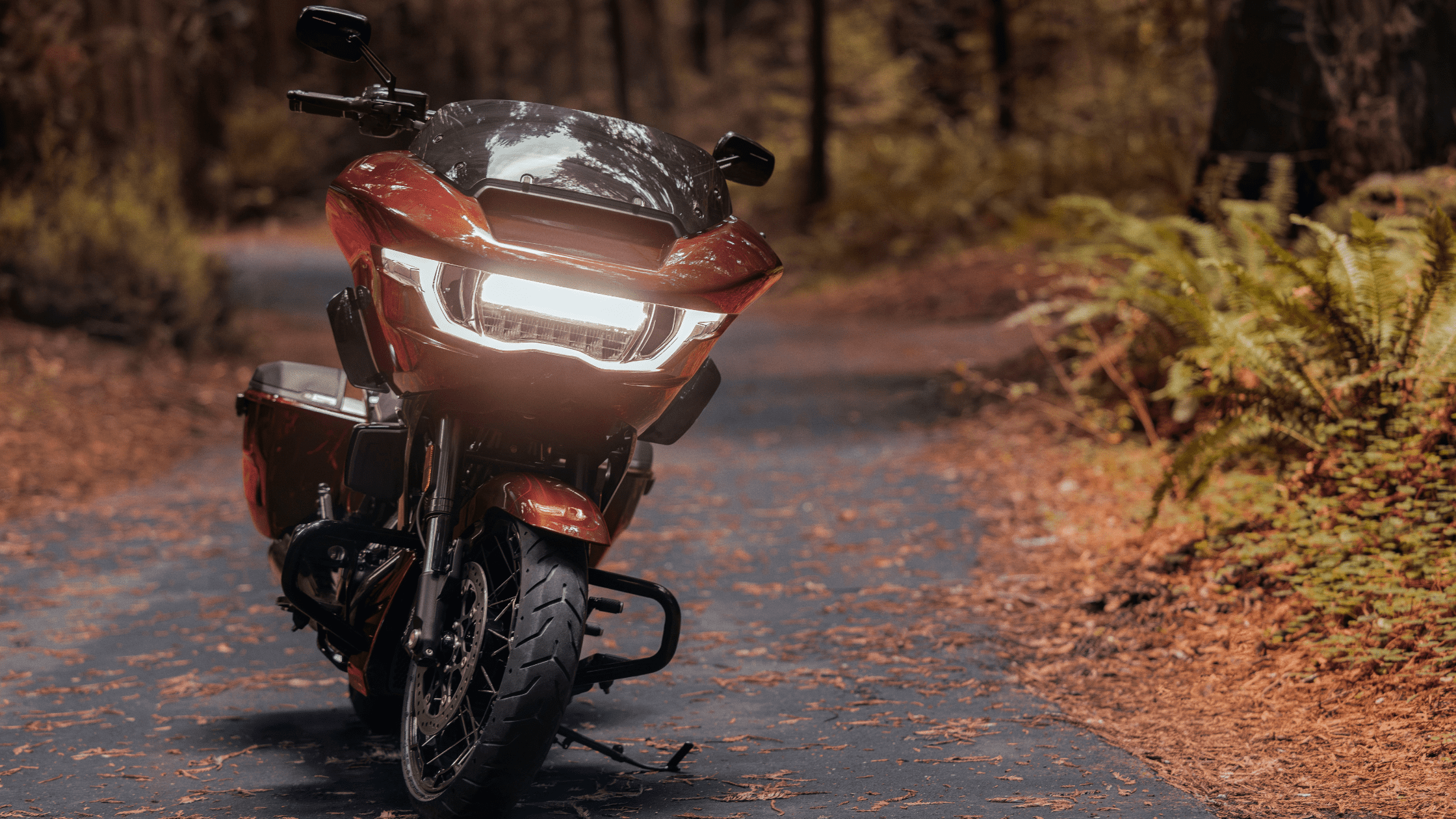 2024 Harley-Davidson® CVO™ Road Glide®