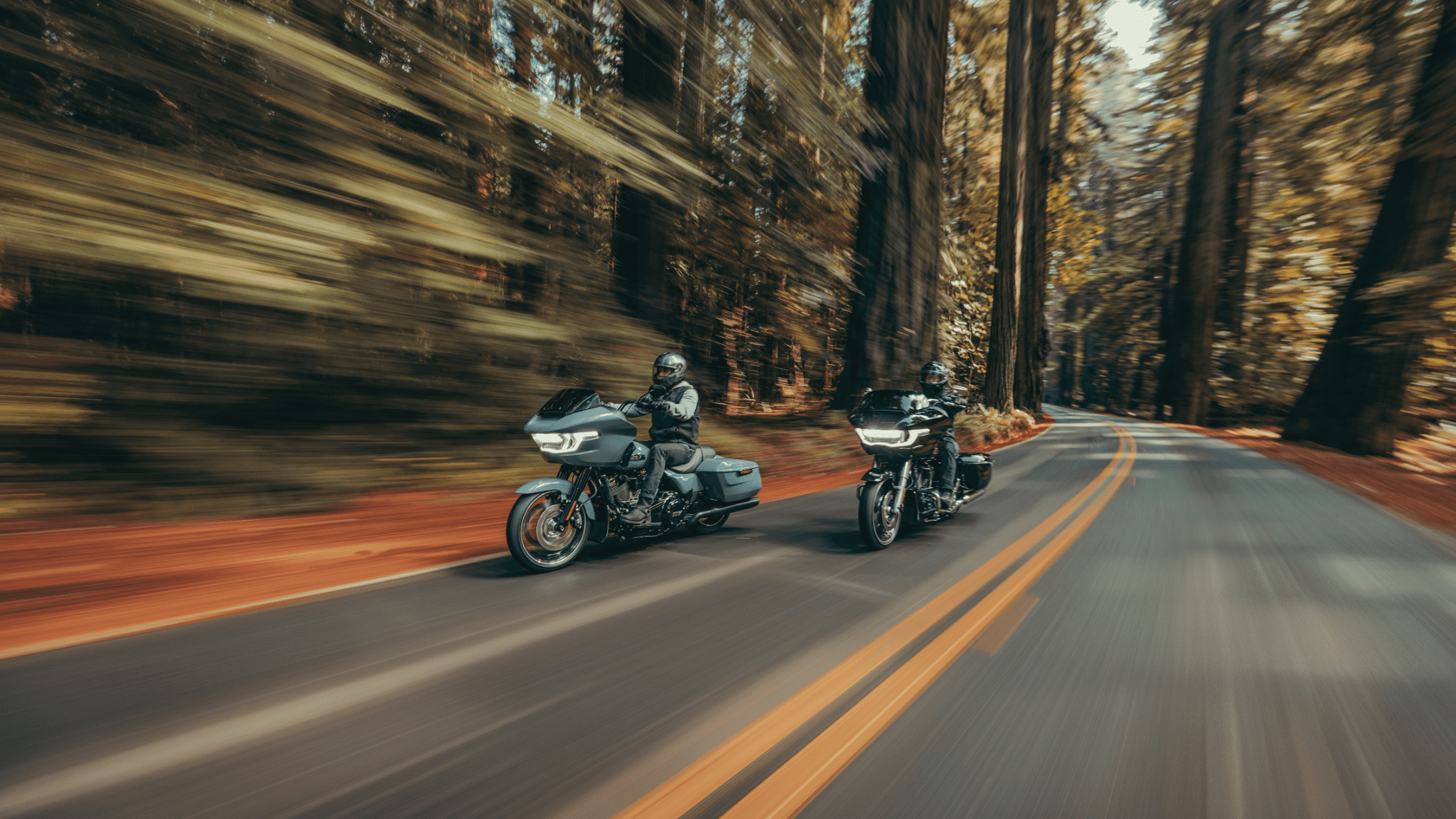 2024 Harley-Davidson® Road Glide®