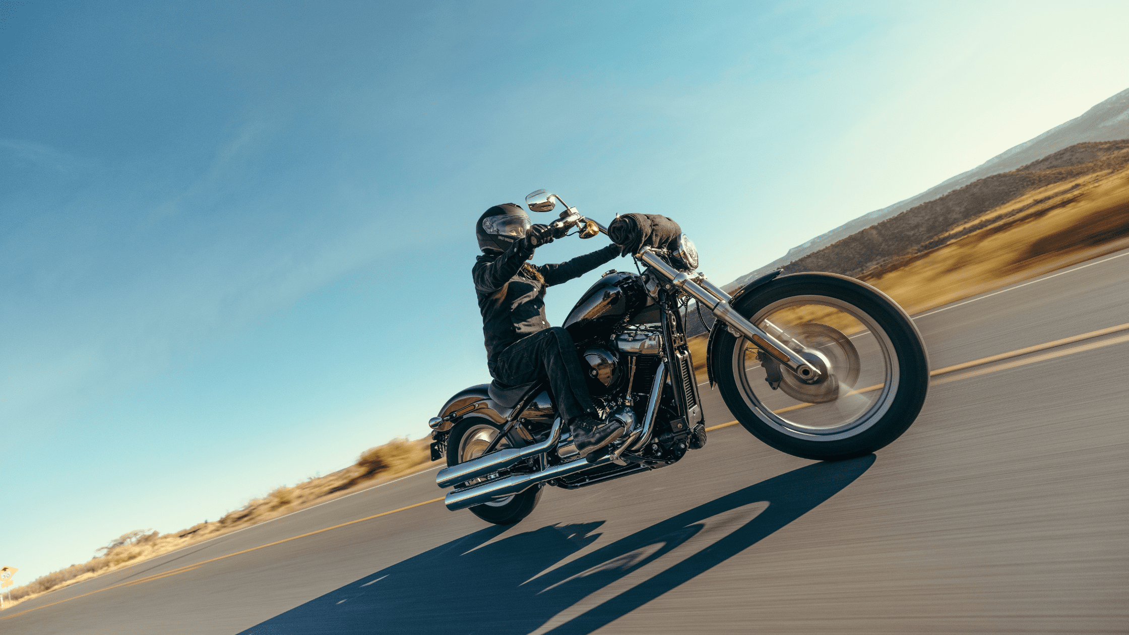 2024 Harley-Davidson® Softail® Standard