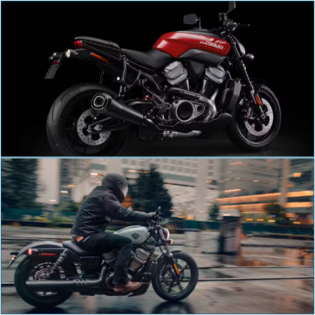 10 Harley-Davidson Motorcycles That Took the Internet by Storm
