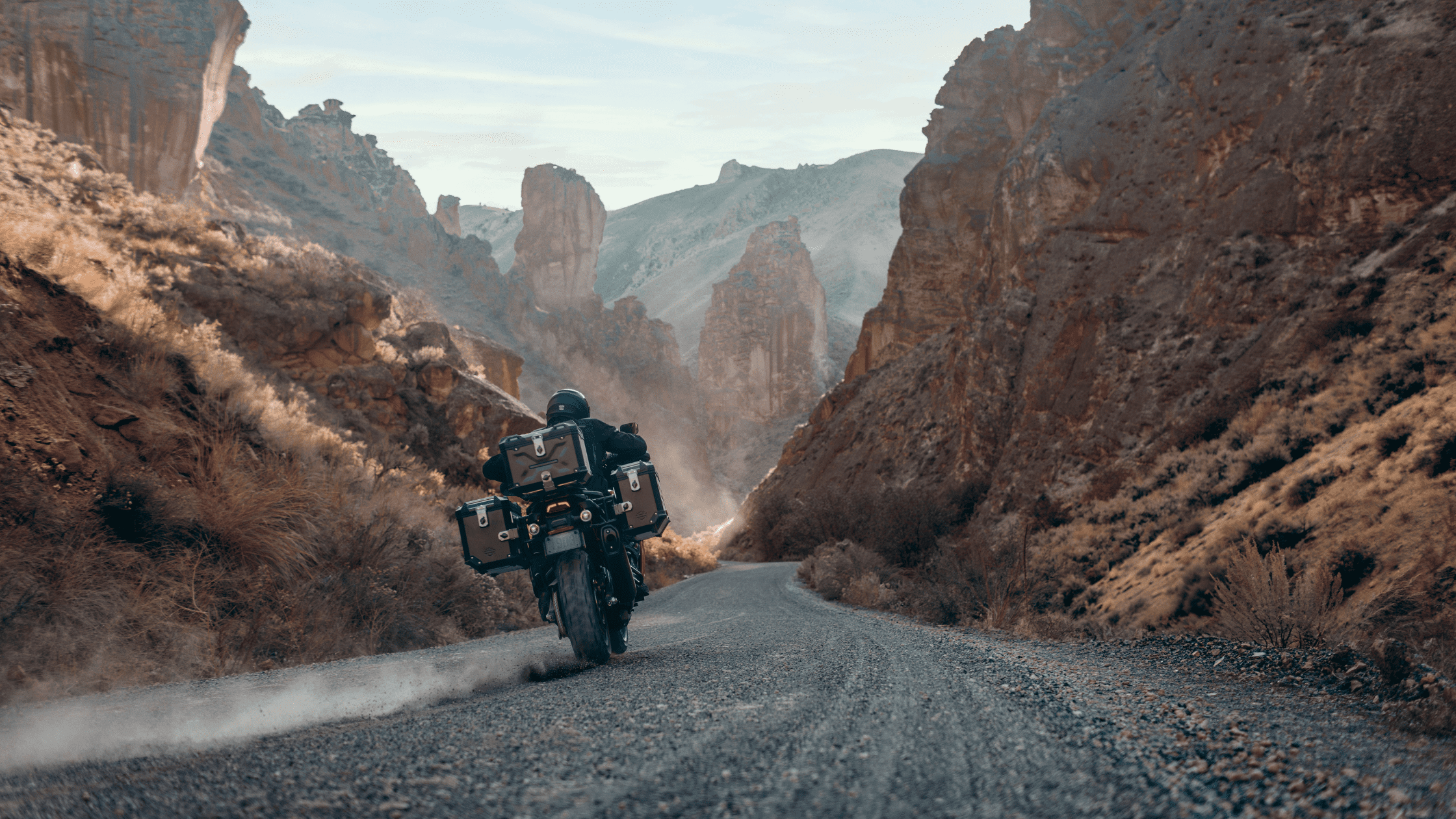 2024 Harley-Davidson® CVO™ Pan America® Blog