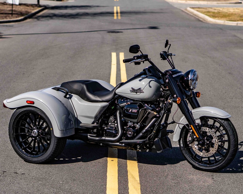 FLRT 2024 Freewheeler - Photo 3