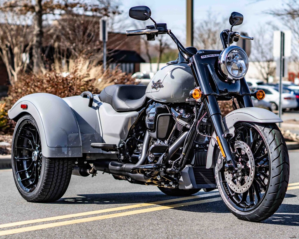 FLRT 2024 Freewheeler - Photo 6
