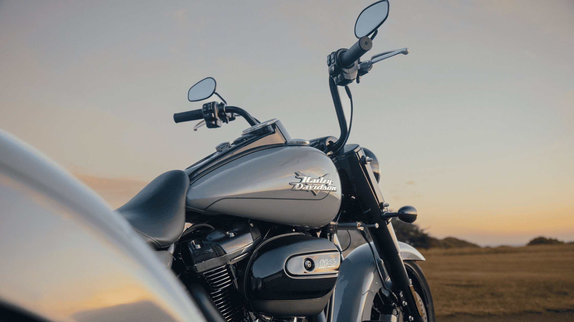 2024 Harley-Davidson® Freewheeler®