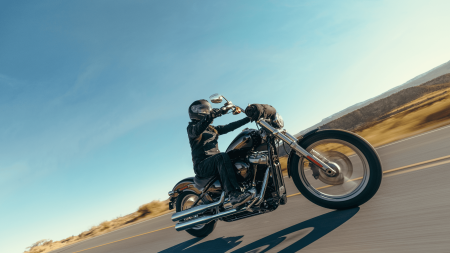 A Local’s Guide to the 2024 Harley-Davidson® Softail® Standard in Hickory, NC