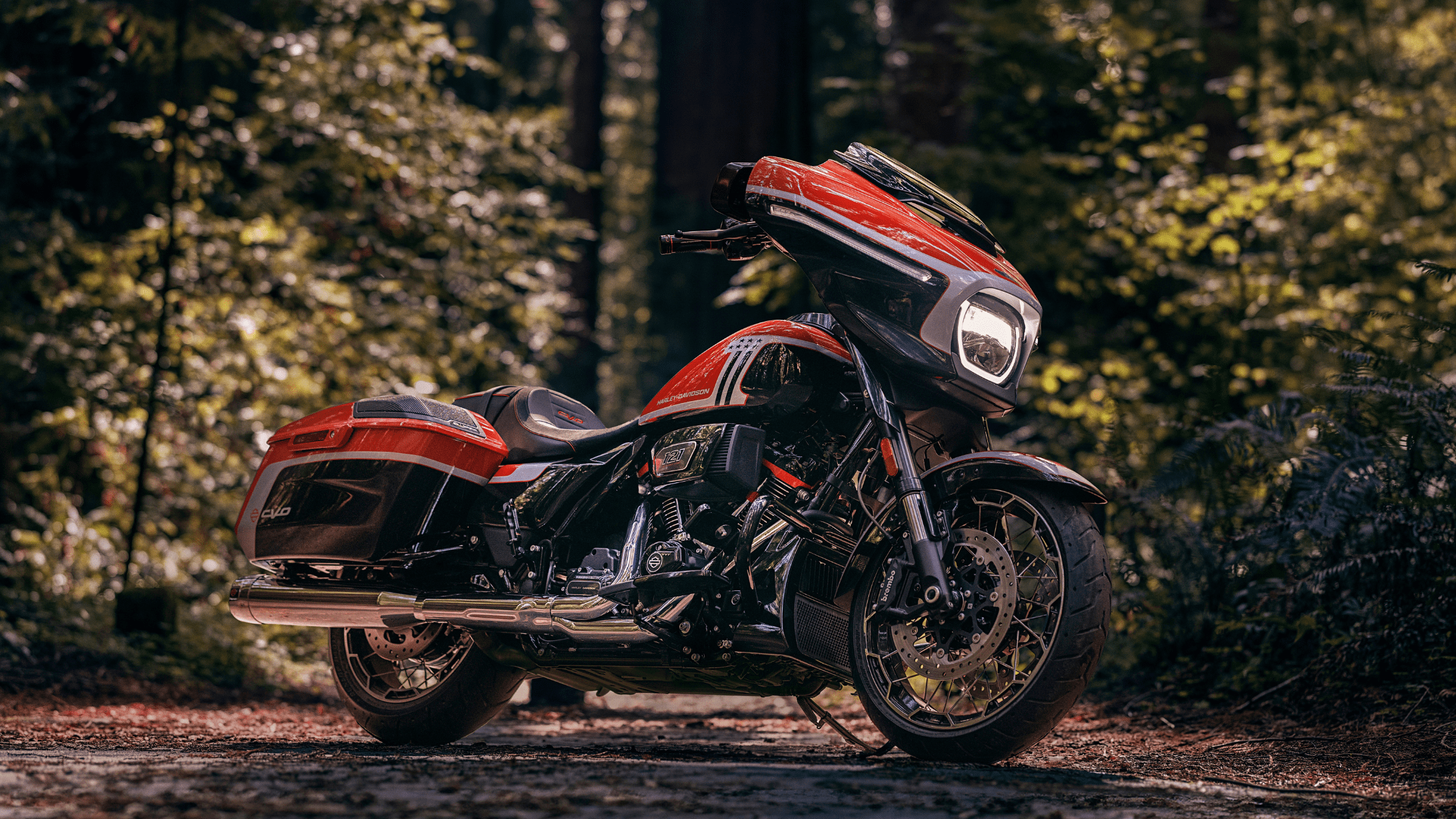 2024 Harley-Davidson® CVO™ Street Glide®