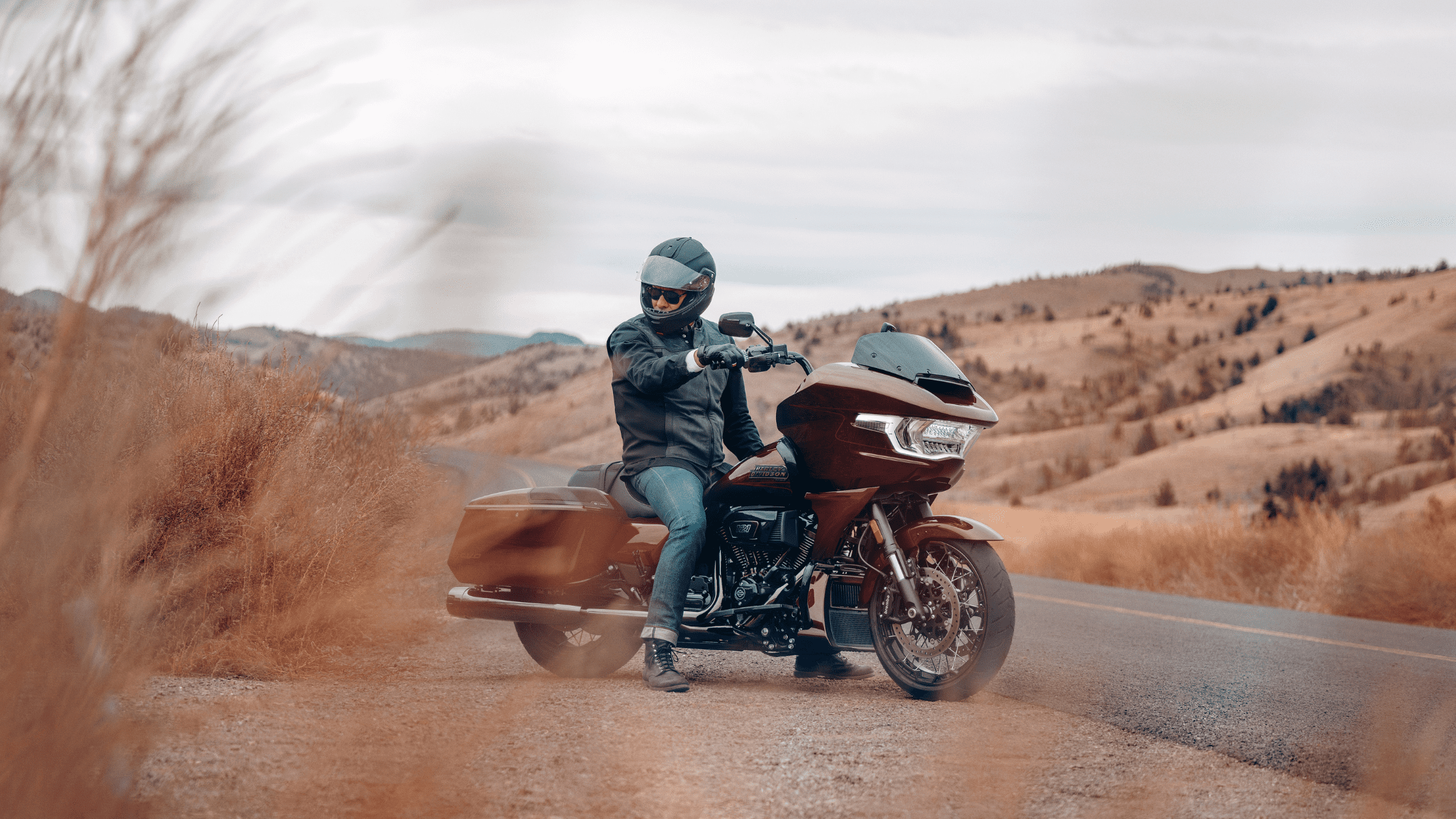 2024 Harley-Davidson® CVO™ Street Glide®